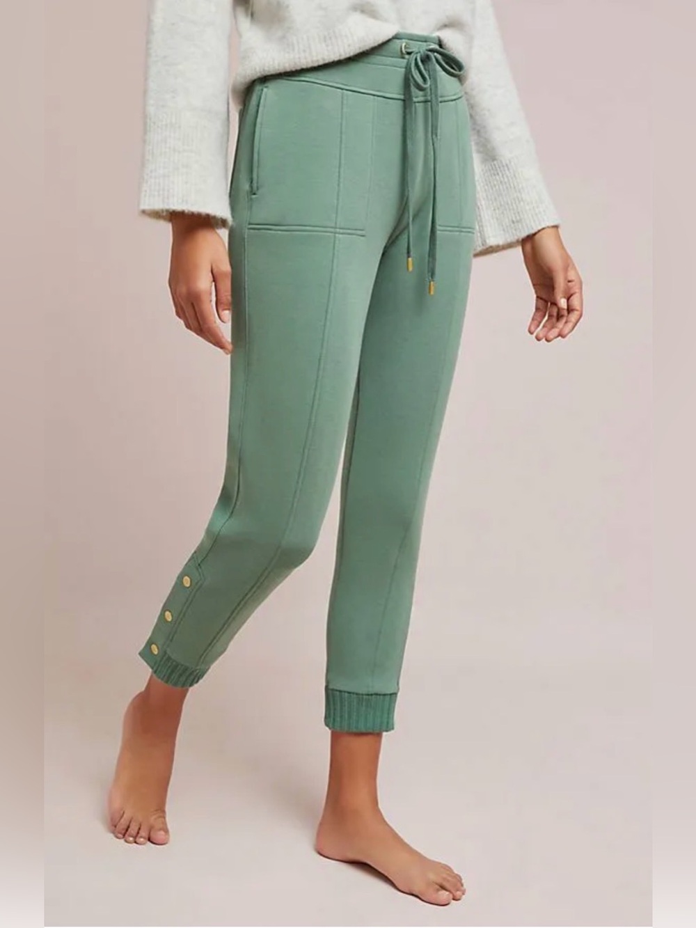 🩷 Anthropologie Dylan Cropped Jogger 🩷